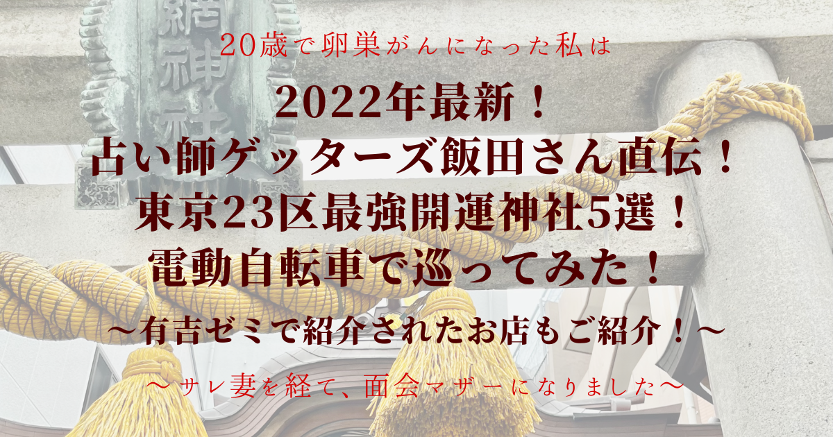 ミミヨリスト。